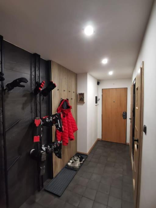 Apartman Bila Voda Červená Voda المظهر الخارجي الصورة